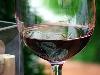 images/wine/vinoveritas/pict040