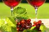 images/wine/vinoveritas/pict114